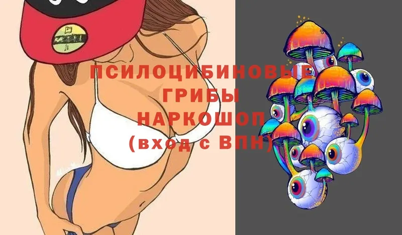 Псилоцибиновые грибы Magic Shrooms  дарнет шоп  Бабаево 